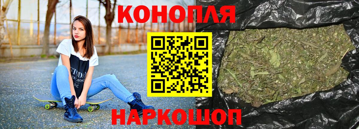 Бошки марихуана OG Kush Светлоград